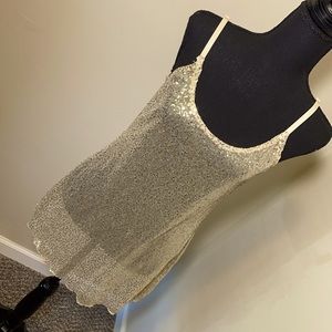 See through metaphor dress